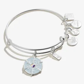 2021 Crystal Snowflake Charm Bangle